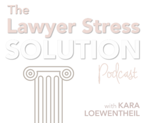 the lawyer stress solution